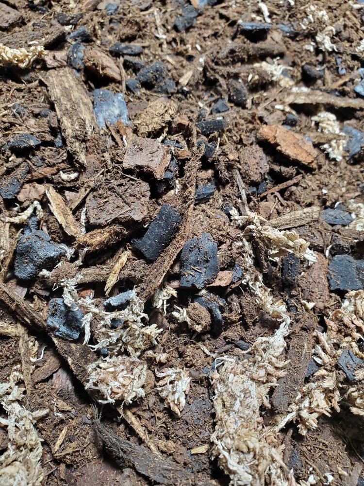Wet Dirt
