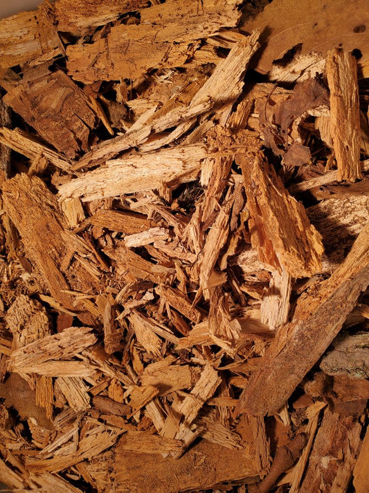 Decaying Wood