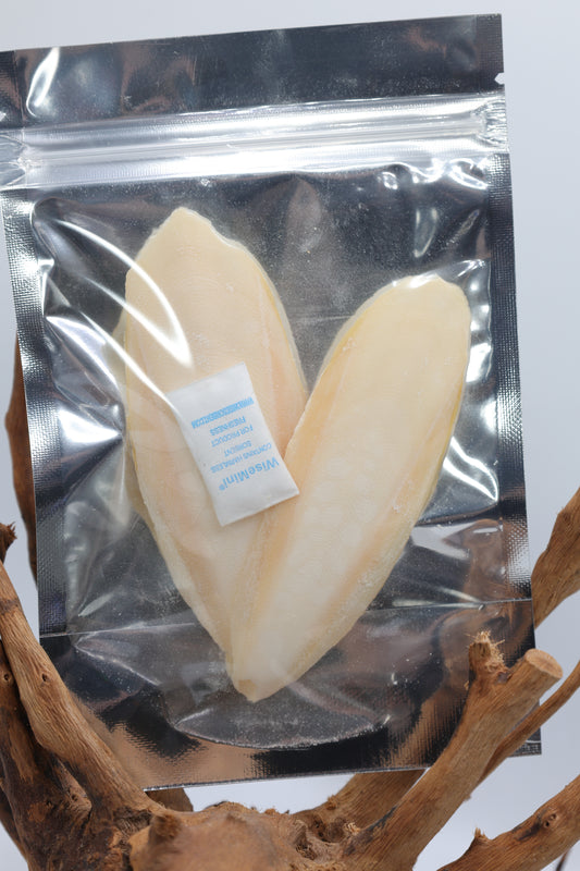 Cuttlefish Bone